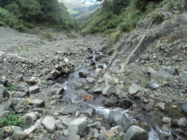 Name:  picture 01 3140.jpg
Views: 192
Size:  165.2 KB