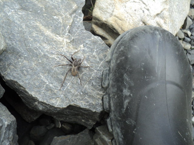 Name:  picture 01 3141.jpg
Views: 192
Size:  163.6 KB