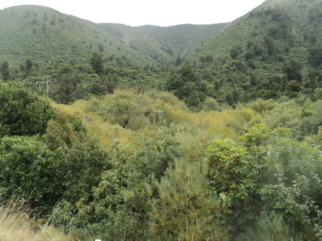 Name:  picture 01 3143.jpg
Views: 202
Size:  164.8 KB