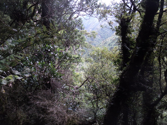 Name:  picture 01 3145.jpg
Views: 180
Size:  163.6 KB
