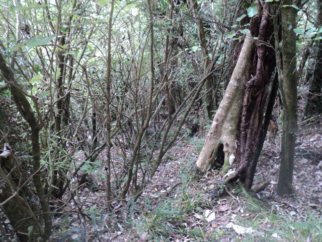 Name:  picture 01 3146.jpg
Views: 177
Size:  163.9 KB