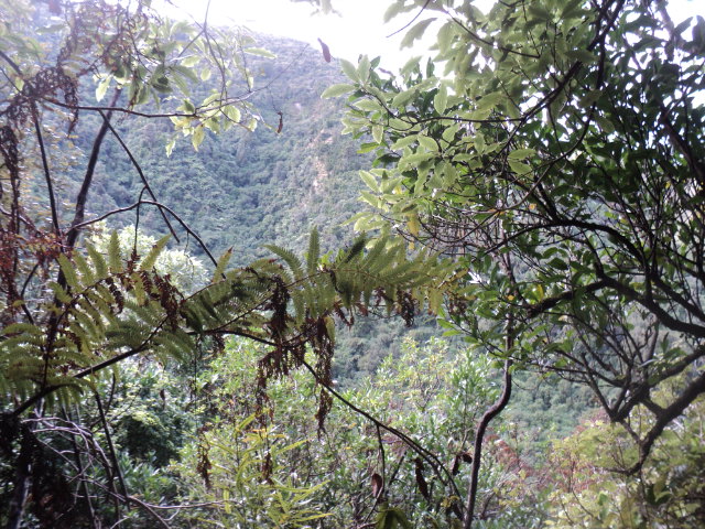 Name:  picture 01 3147.jpg
Views: 177
Size:  164.9 KB