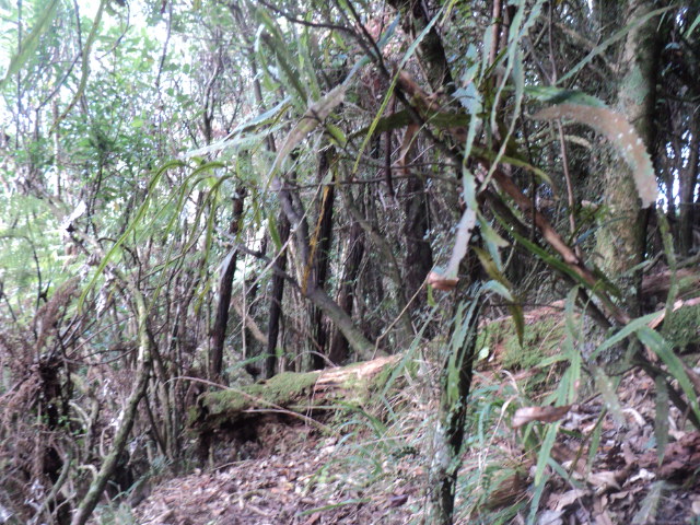 Name:  picture 01 3148.jpg
Views: 200
Size:  164.9 KB
