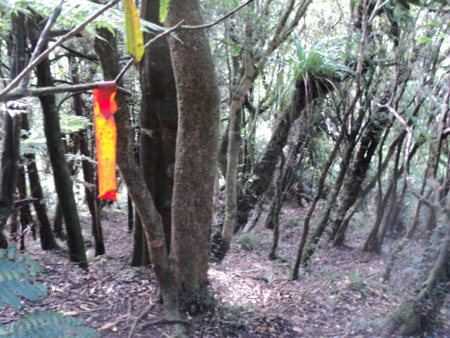 Name:  picture 01 3152.jpg
Views: 202
Size:  164.4 KB