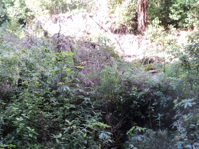 Name:  picture 01 3154.jpg
Views: 176
Size:  163.9 KB
