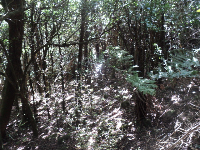 Name:  picture 01 3156.jpg
Views: 568
Size:  165.1 KB