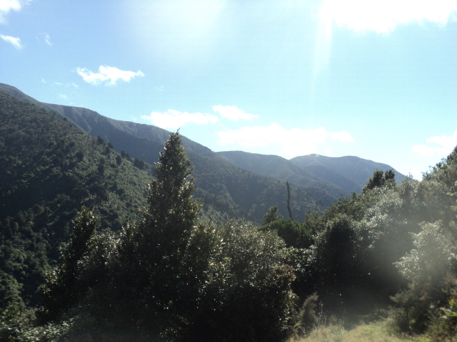 Name:  picture 01 3158.jpg
Views: 579
Size:  163.9 KB