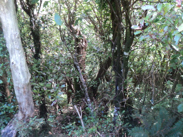 Name:  picture 01 3159.jpg
Views: 581
Size:  163.3 KB