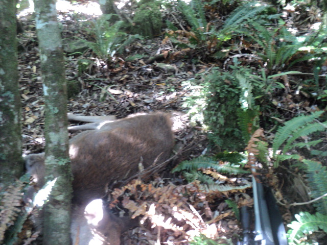 Name:  picture 01 3160.jpg
Views: 584
Size:  164.4 KB