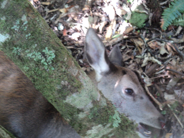 Name:  picture 01 3161.jpg
Views: 577
Size:  164.9 KB