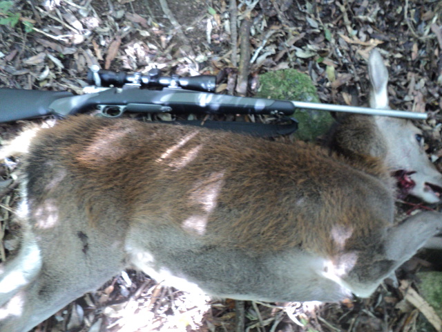 Name:  picture 01 3163.jpg
Views: 565
Size:  164.1 KB