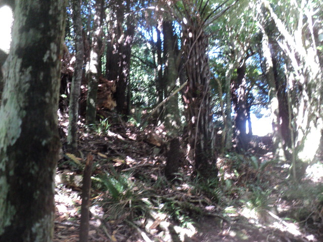 Name:  picture 01 3165.jpg
Views: 579
Size:  164.8 KB