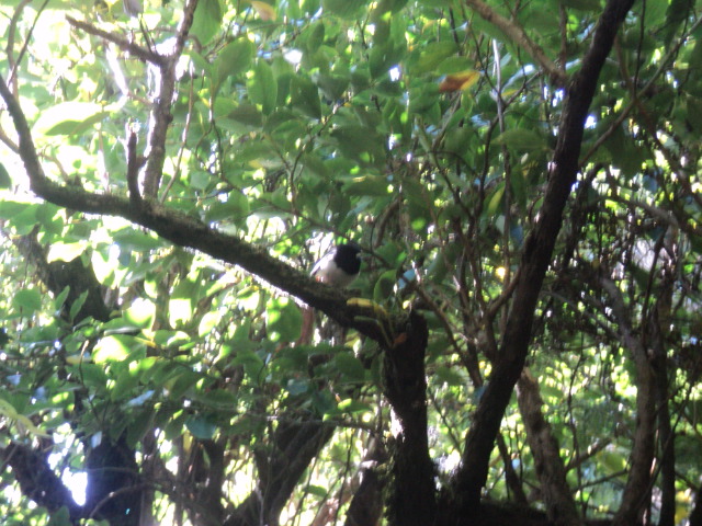 Name:  picture 01 3166.jpg
Views: 570
Size:  164.6 KB