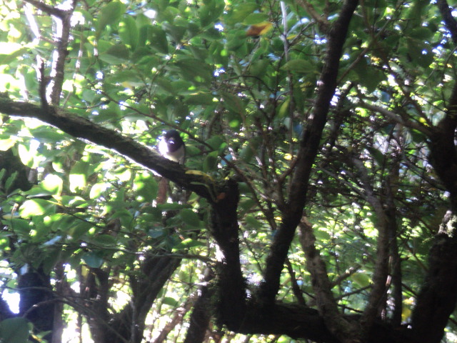 Name:  picture 01 3167.jpg
Views: 577
Size:  163.0 KB