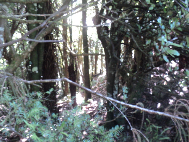 Name:  picture 01 3168.jpg
Views: 578
Size:  164.4 KB