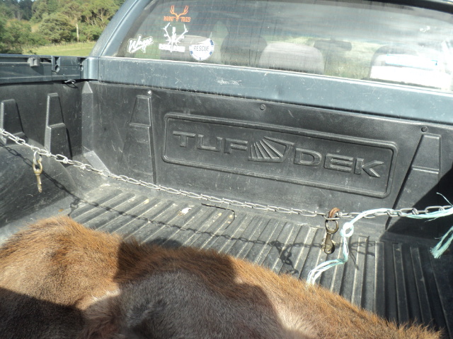 Name:  picture 01 3173.jpg
Views: 570
Size:  162.7 KB