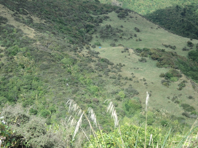 Name:  picture 01 3088.jpg
Views: 121
Size:  165.0 KB