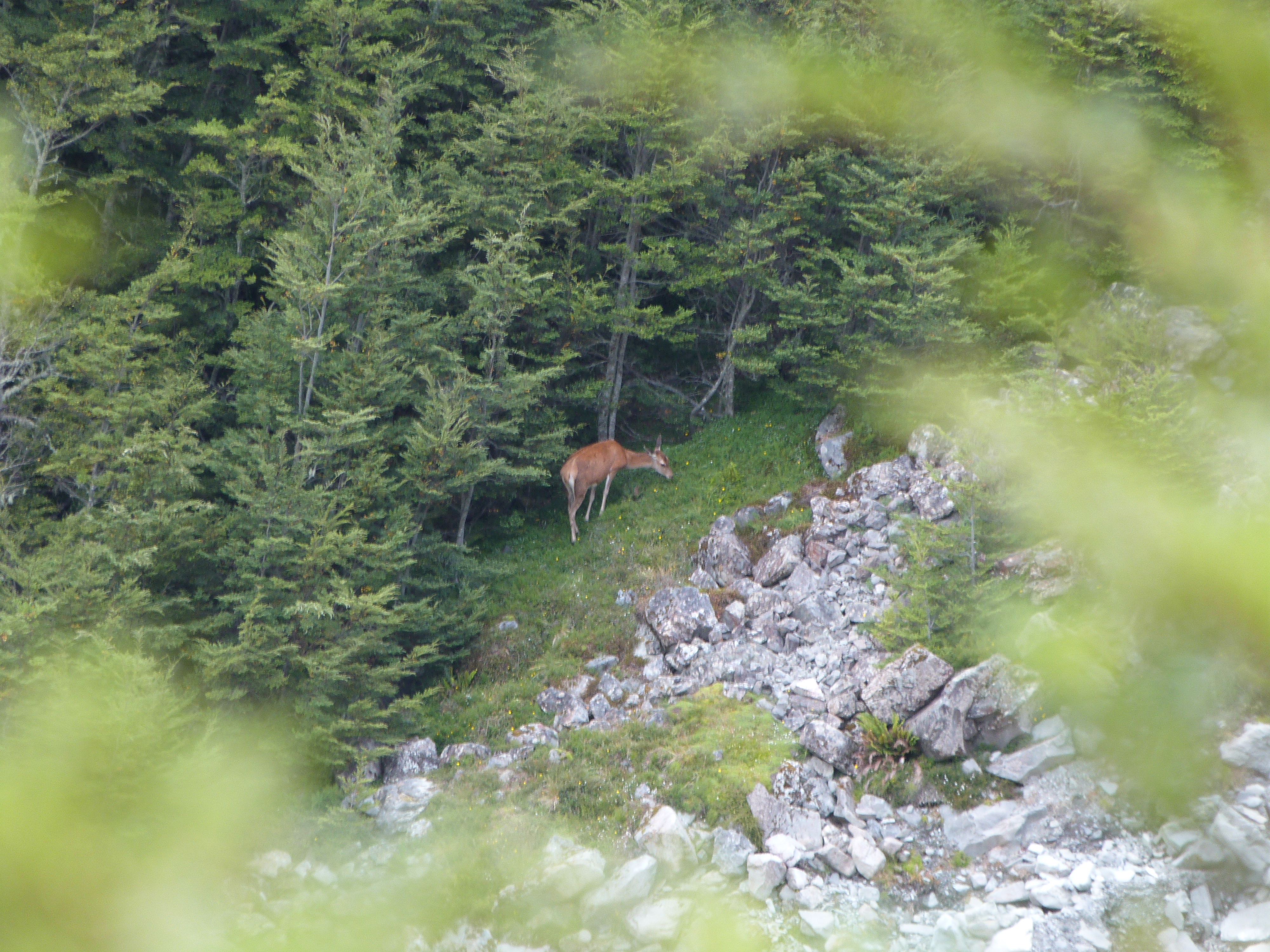 Name:  Hind 1.JPG
Views: 499
Size:  4.77 MB