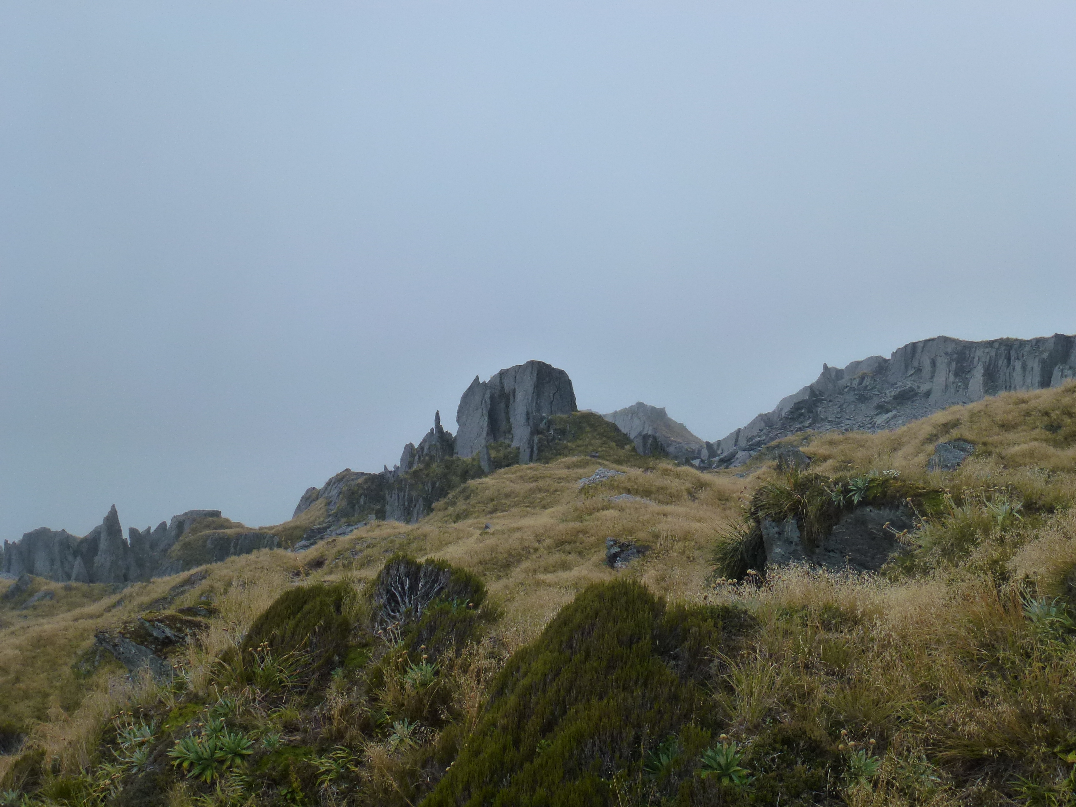 Name:  P1030316.JPG
Views: 504
Size:  5.47 MB