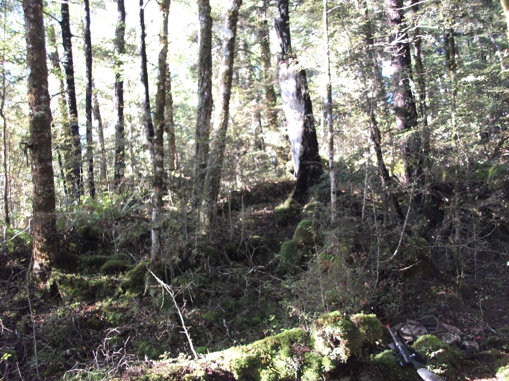 Name:  DSCF1023.JPG
Views: 550
Size:  518.8 KB