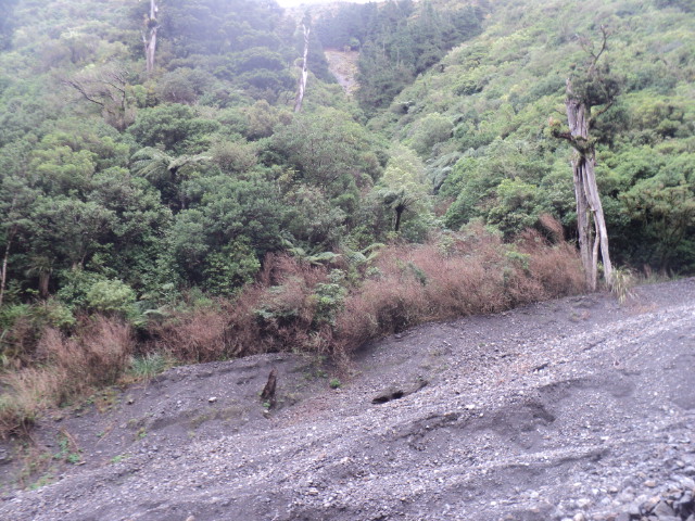 Name:  picture 01 3830.jpg
Views: 511
Size:  164.1 KB