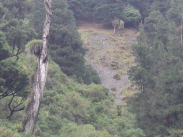 Name:  picture 01 3827.jpg
Views: 519
Size:  162.5 KB