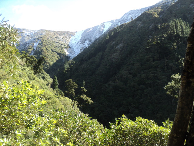 Name:  picture 01 3954.jpg
Views: 544
Size:  163.9 KB
