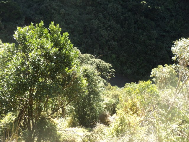 Name:  picture 01 3955.jpg
Views: 518
Size:  164.1 KB