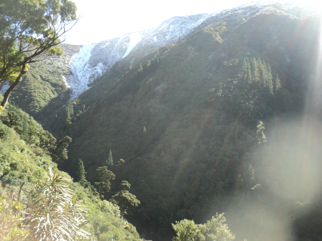Name:  picture 01 3956.jpg
Views: 522
Size:  162.8 KB
