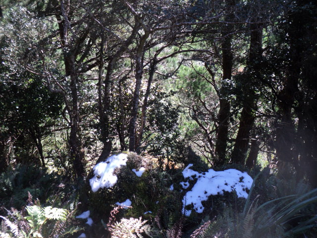 Name:  picture 01 3957.jpg
Views: 497
Size:  165.2 KB