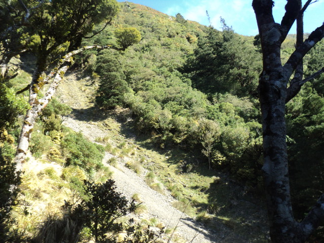 Name:  picture 01 3958.jpg
Views: 520
Size:  164.9 KB
