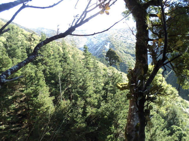 Name:  picture 01 3959.jpg
Views: 497
Size:  163.0 KB