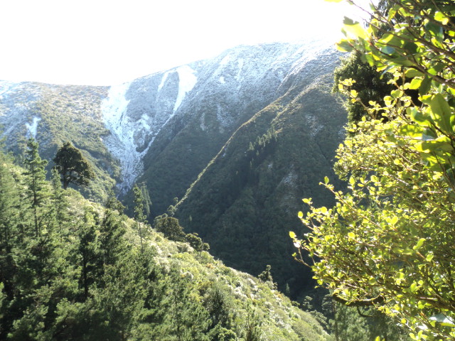 Name:  picture 01 3960.jpg
Views: 495
Size:  163.5 KB