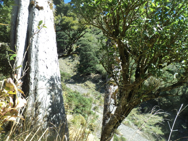 Name:  picture 01 3961.jpg
Views: 501
Size:  164.8 KB