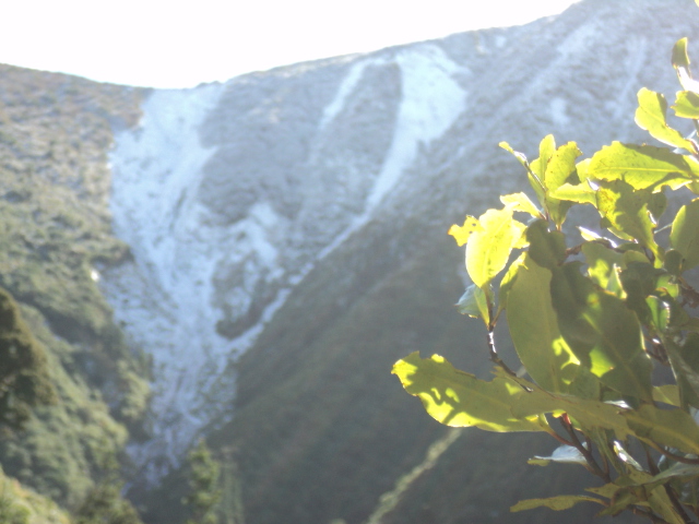 Name:  picture 01 3962.jpg
Views: 510
Size:  165.0 KB