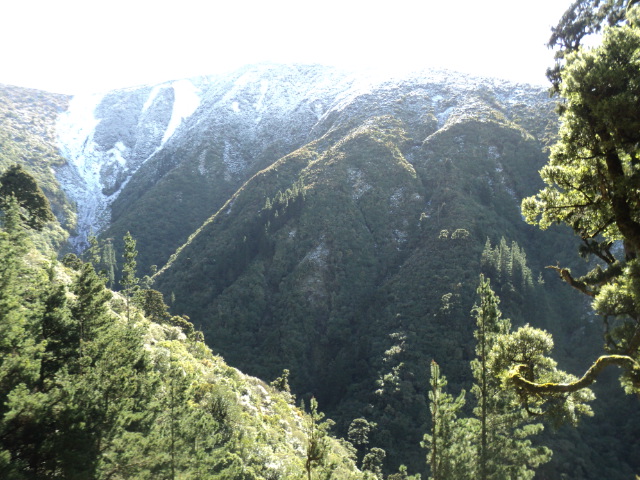 Name:  picture 01 3963.jpg
Views: 523
Size:  165.3 KB