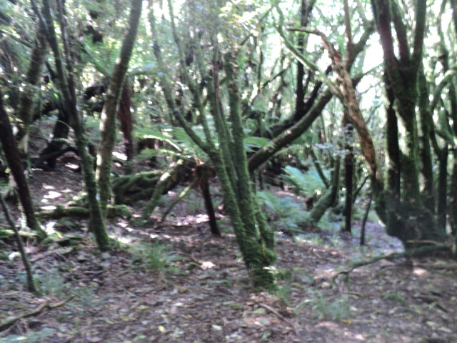 Name:  picture 01 3964.jpg
Views: 521
Size:  164.2 KB