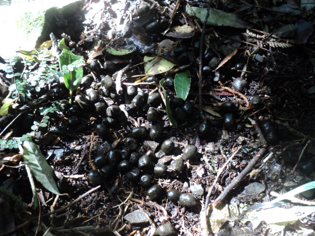 Name:  picture 01 3965.jpg
Views: 511
Size:  164.3 KB