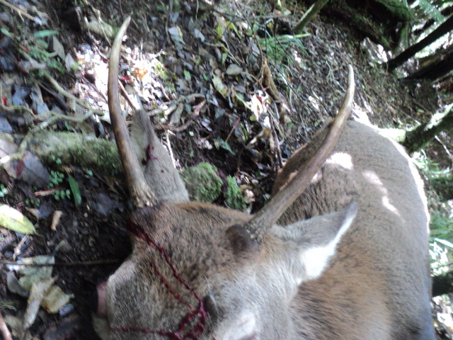 Name:  picture 01 3967.jpg
Views: 502
Size:  164.0 KB