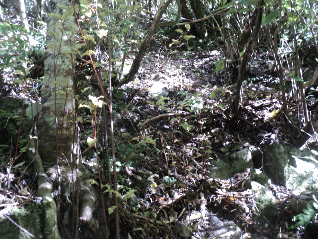 Name:  picture 01 3969.jpg
Views: 506
Size:  164.8 KB