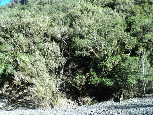 Name:  picture 01 3971.jpg
Views: 497
Size:  165.2 KB