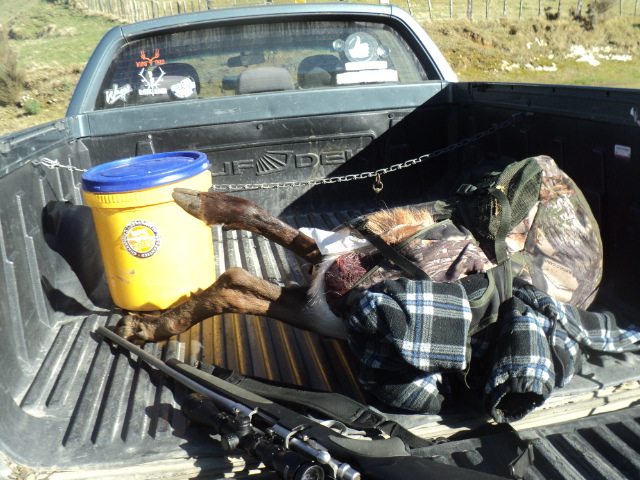 Name:  picture 01 3975.jpg
Views: 526
Size:  165.3 KB