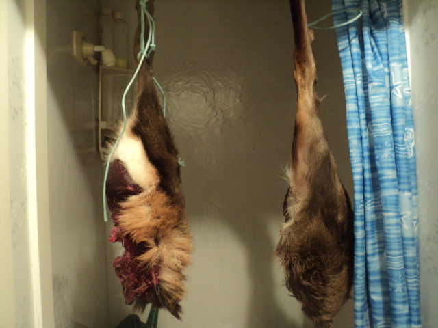 Name:  picture 01 3976.jpg
Views: 432
Size:  165.0 KB