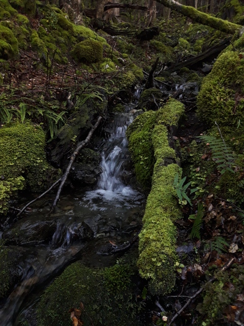 Name:  012.jpg
Views: 437
Size:  218.4 KB