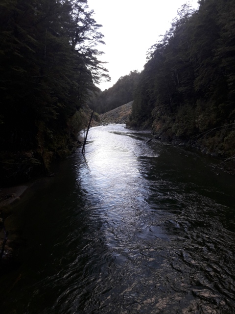 Name:  013.jpg
Views: 452
Size:  143.4 KB