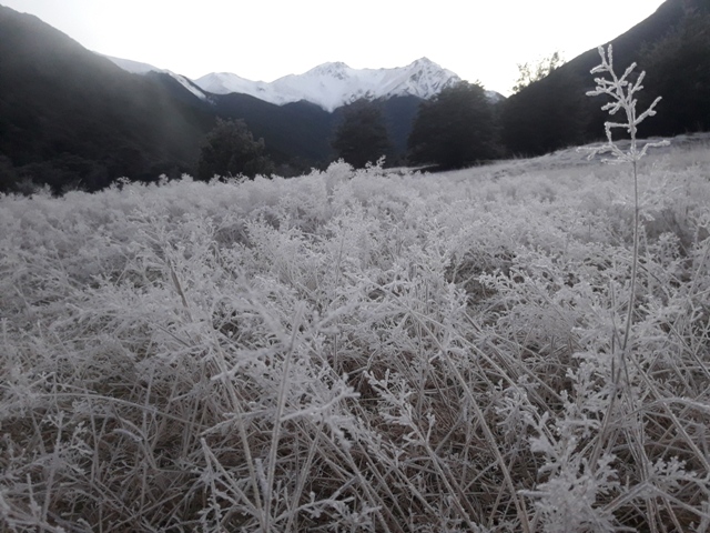 Name:  019.jpg
Views: 402
Size:  171.3 KB