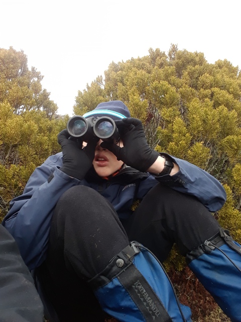 Name:  005.jpg
Views: 420
Size:  132.3 KB