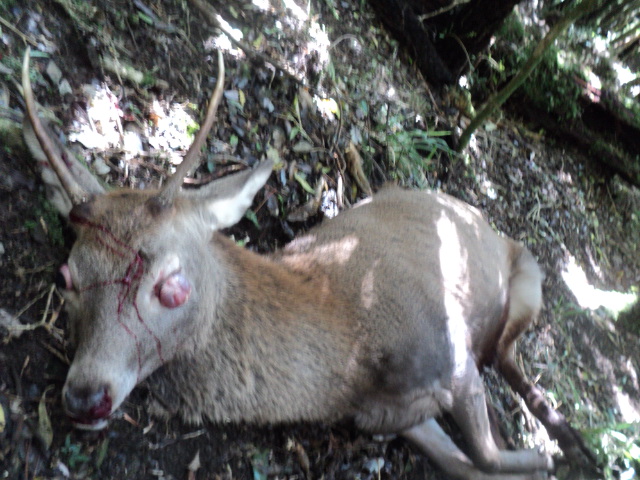 Name:  picture 01 3968.jpg
Views: 200
Size:  164.6 KB