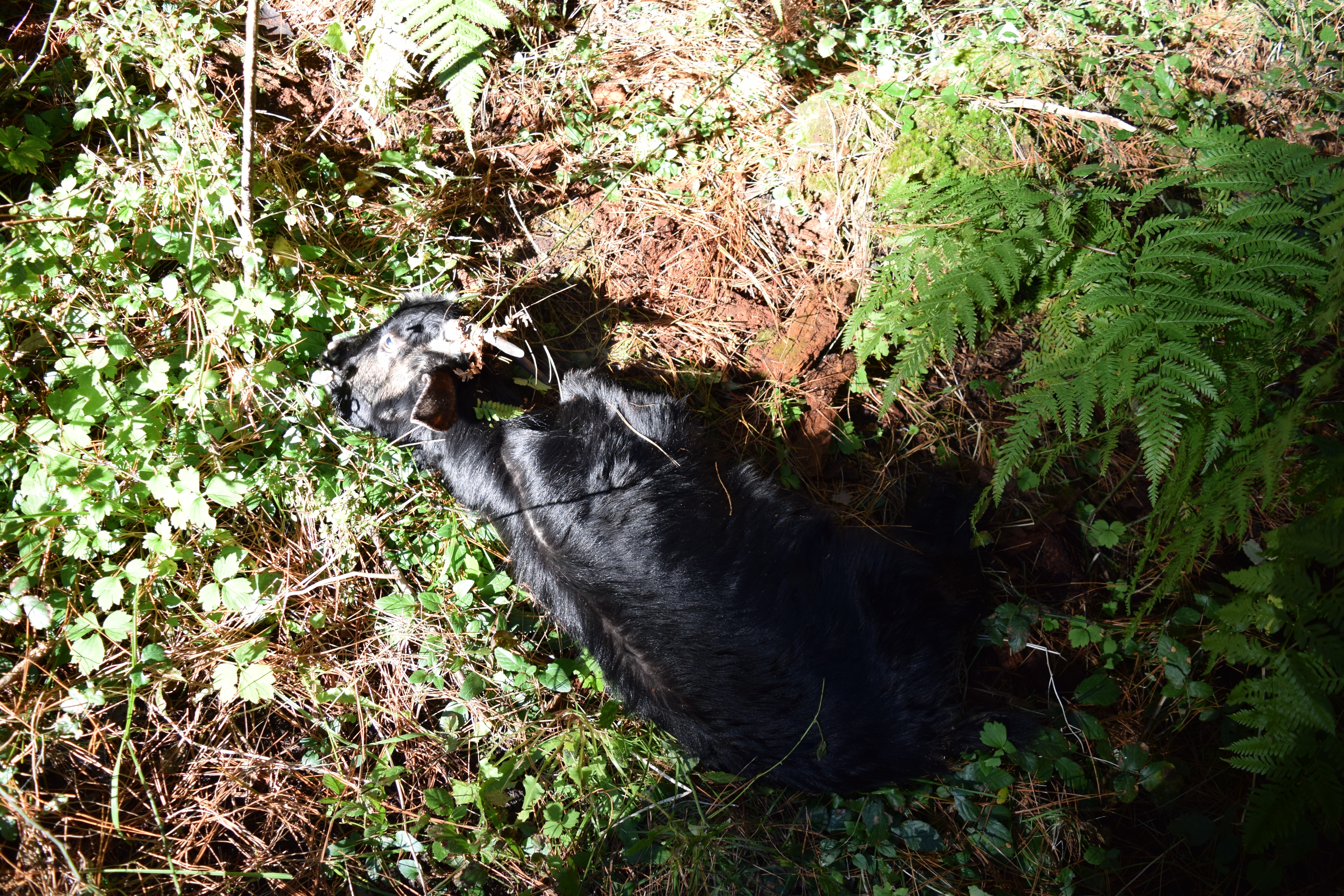 Name:  dsc_0008.jpg
Views: 733
Size:  5.52 MB