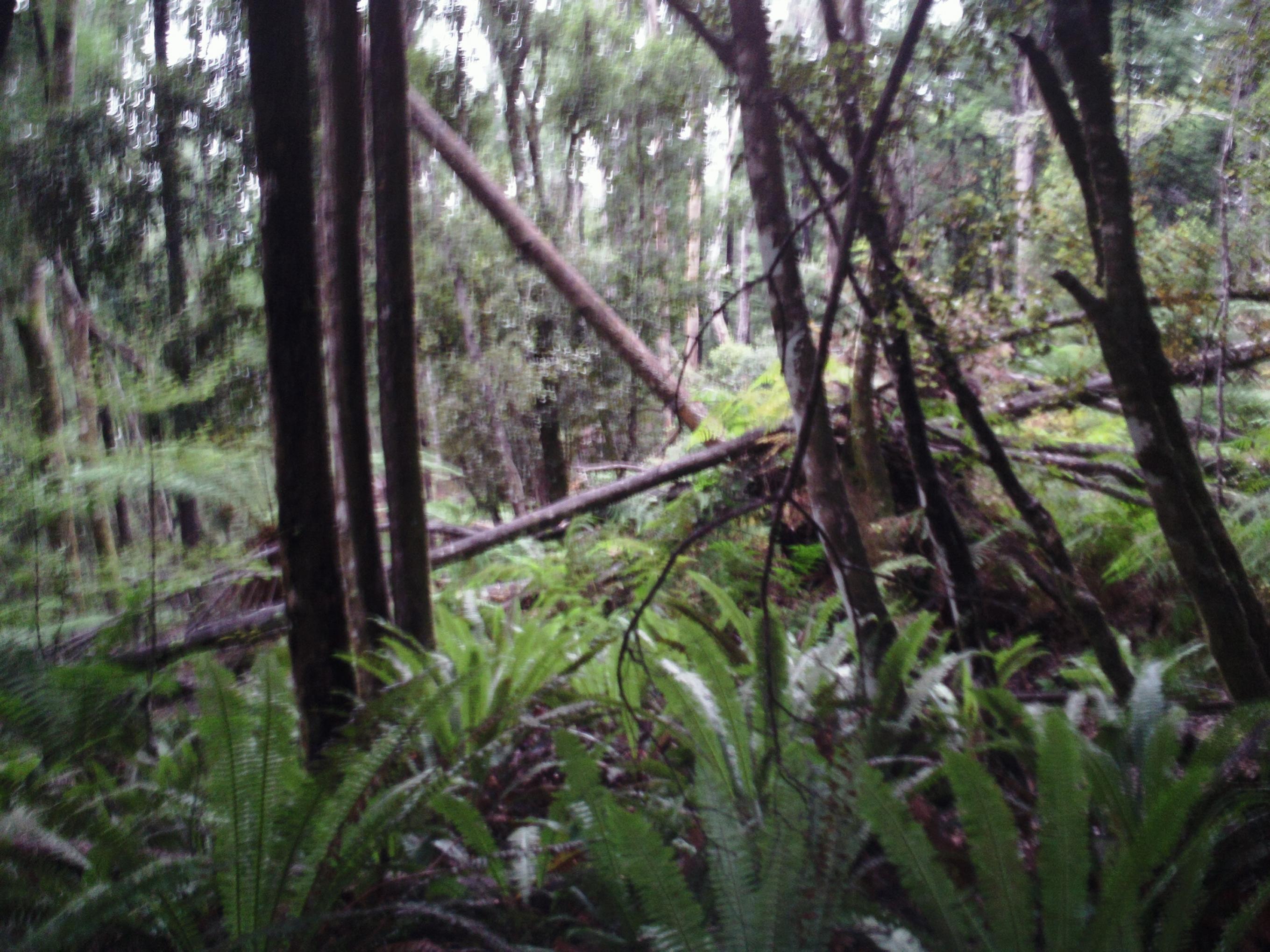 Name:  SAM_0196.jpg
Views: 727
Size:  641.3 KB